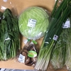今日は岡山日帰り出張で、帰りの道の駅で野菜買いました！