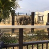 子供と京都観光！！２日目京都市動物園🐘