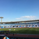 蕪と海豚