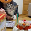 2024 年を振り返る