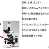 生ゴミ処理の微生物を顕微鏡で視る