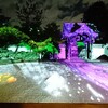 【旅行】夏の京都は夜間拝観がオススメ