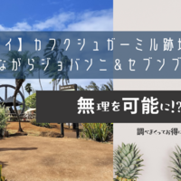 【ハワイ】カフクシュガーミル跡地でお酒を飲みながらジョバンニ＆セブンブラザーズ