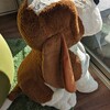 負けない人生にしよう