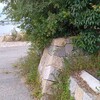 曇天の下の淀川&神崎川河口。（日曜日、曇り）