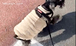 記事を見る