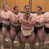 ＜＜おすもうさん　番付＞＞　２　～十両昇進・三田関～