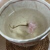 春🌸春🌸春がやってきた〜