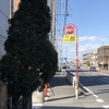 【ラーメン】ラーメン二郎 川越店 / 川越