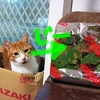 みんなはお食事中なのに…(^^;