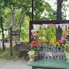 7月18日 道内旅行 帯広〜上野ファーム〜大雪山旭岳