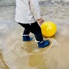 雨上がりの日