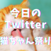 今日のTwitter㉔動画編～猫ちゃん祭り～