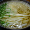 根っこ