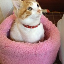 発達障害の弱点を克服するために悪戦苦闘