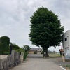 斗合田愛宕様古墳  明和町斗合田