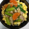 お弁当を作りました！(小松菜と豚肉のあんかけご飯)