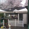 飯田橋のカナルカフェ(CANAL CAFE)のケーキバイキング(2015年4月)♪♪