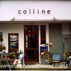 【和歌山カフェ＆ランチ】collineの自然食ランチ★