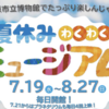 夏休みは市立博物館へ行こう！(2023/8/12)