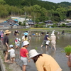 田植え祭り！！