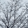 ３月２０日