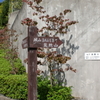 六甲山３（道に迷う）