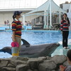 名古屋港水族館へ