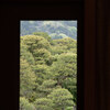 島根旅（2025.04.26-28）3日目～ 安来「足立美術館」Ⅱ
