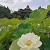 【蓮寺】 信濃国分寺｜上田市