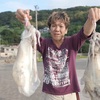 デカイカ、釣れる