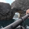 2025徳島シーカヤックツアー 晩秋の南徳島 Day2 晩秋の穏やか南徳島･千羽海崖
