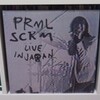 primal scream / live in japan