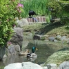 水月公園