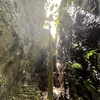 離島の旅第４回 大東島旅行記（８）～7/9那覇→南大東島～南大東島旅行記①～南大東島を車で一周（海軍棒・バリバリ岩・日の丸山展望台・ホテルよしざとetc）