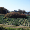 ゴンゴン塚古墳（赤堀村297号古墳）  群馬県伊勢崎市磯町