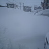 大雪。引っ越してきて最大。