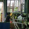ハンドパン人来る