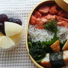 9.2のお弁当