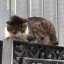 MasaKu's BLOG