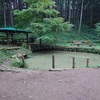 高麗駅　『 多峯主山～高麗峠  ‘緑色に染まる雨乞池’ 』