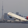 羽田空港で飛行機撮影！パート3