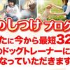 大人気の犬のしつけプログラム！「本質の犬のしつけプログラム」