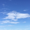 ミニマリストの豊かな食卓