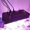 格安LEDライト ブラックボックスの使用感と注意点
