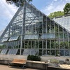 【探訪】東京都薬用植物園の終春見物