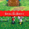 ２２７日目～その１～シェリーさん依頼のお家をコーディネートしたよ～枯れない花に囲まれて