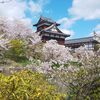 2020年4月、新型コロナで春のイベント中止でも桜は咲く。郡山城、馬見丘陵公園に行ってきました。