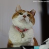 ナイスキャッチのあと