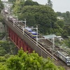 根府川の白糸川橋梁を渡る　西濃運輸「カンガルーライナーSS60」